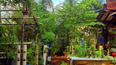 Selain Sehat, Berkebun Membuat Disayang Istri