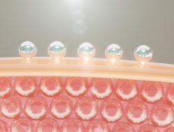 Rahasia Kulit Sehat dan Cerah: Myjourney Collagen, Solusi Tepat untuk Anda