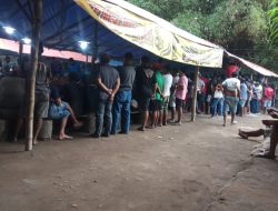 Abaikan Aturan Hukum, Tempat Judi Sabung Ayam desa kauman Bebas Melenggang Untuk Beraktivitas