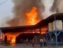 PT. Nankai Indonesia di Gresik Dilahap si Jago Merah, 4 Mobil Damkar Dikerahkan