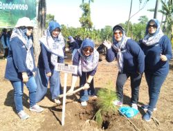 Berikan Dukungan Srikandi IIK Perhutani Bondowoso Gelar Tanam Pohon