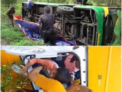 Akibat Hindari Pemotor, Bus Transjatim Mojokerto-Gresik Terguling di Dawarblandong Mojokerto
