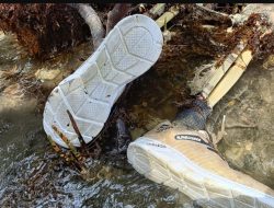 Kerangka Mayat Asal Bekasi Ditemukan di Pantai Tajung Mulya Pulau Bawean