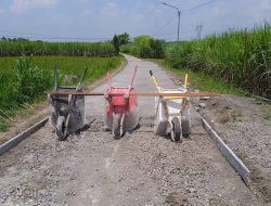 Proyek Siluman Rabat Beton Desa Primpen, Diduga Melewati Banyak Tahapan Kontruksi
