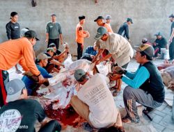 Penyembelihan Hewan Qurban Dilaksanakan di Masjid Bustanul Abidin Desa Dermo Lemahbang, Berbagi dan Peduli Sesamanya