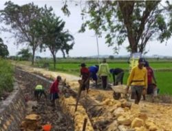 Kades Pandu Cerme Sombong, Tantang Wartawan untuk Laporkan Terkait Proyek  di Desanya