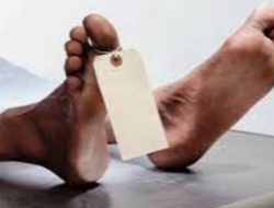 Polisi Buru Terduga Pelaku Kasus Tewasnya Sopir Travel di Jambi