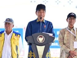 Presiden Jokowi Resmikan Smelter Freeport di Gresik: Langkah Strategis untuk Ekonomi Nasional