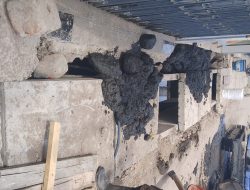 Pekerjaan Box Culvert Jln. Petemon I Sarat Penyimpangan