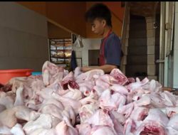 Harga Pangan Di Jawa Timur :Harga Daging Ayam, Jagung dan Beras Naik
