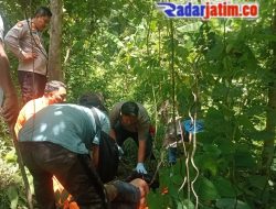 Ditemukan Mayat tanpa ldentitas di Hutan Marmoyo, Dugaan Korban Pembunuhan