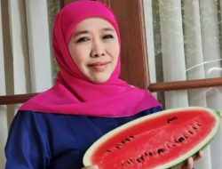 Dua Kali Jabat Gubernur Jatim, Khofifah Disebut Tak Ada Gebrakan hingga Dicap Melempem