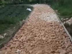 Diduga Jadi Ajang Korupsi, Proyek Rabat Beton DD 2025 di Desa Baturasang Disoal Warga