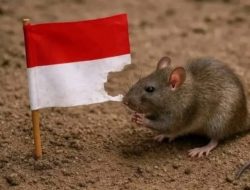 Kado Kemerdekaan RI, Indonesia Menuju Kegelapan ?