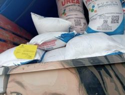 Serapan Baru 30 Persen, Disperta Sampang Komitmen Pantau Ketat Distribusi Pupuk Subsidi