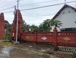 Misteri Pengelolaan BUMDes Tawangrejo: Antara Pailit dan Isu Kepemilikan Pribadi