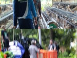 Gegara Viral, Dugaan Korupsi DD Program Ketahanan Pangan Baru Tealisasi, LSM GMBI KSM Sangkapura Desak Audit APBDes 2025 Desa Kebuntelukdalam