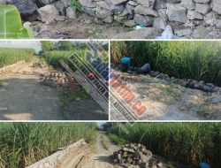 Proyek TPT Desa Sumbergede Disorot, Minim Transparansi dan Diduga Abaikan Kualitas Pembangunan