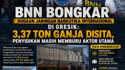 BNN Usut Tuntas Jaringan Narkotika Internasional di Gresik: 3,37 Ton Ganja Disita, Penyidikan Masih Memburu Aktor Utama
