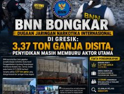 BNN Usut Tuntas Jaringan Narkotika Internasional di Gresik: 3,37 Ton Ganja Disita, Penyidikan Masih Memburu Aktor Utama