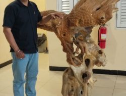 LSM PiAR Desak Dr. Rian Pramana Suwanda Pilih Satu Jabatan: Rektor Universitas Gresik atau ASN