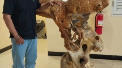 LSM PiAR Desak Dr. Rian Pramana Suwanda Pilih Satu Jabatan: Rektor Universitas Gresik atau ASN