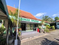 POPULASI WERENG BATANG COKELAT MENINGKAT, DINAS TPHP KAB MAGETAN LAKUKAN PENGAMATAN DAN BERIKAN REKOMENDASI PENGENDALIAN