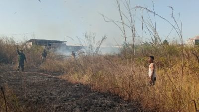 Babinsa Bersama PMK dan Warga Bergerak Cepat Padamkan Kebakaran Lahan Tebu di Cerme