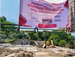 Puluhan Kios Pasar Desa Suci Dibongkar, Lahannya Disulap Jadi KDMP: Proyek Ratusan Juta Sia-sia dan Dipertanyakan, Kades Membisu